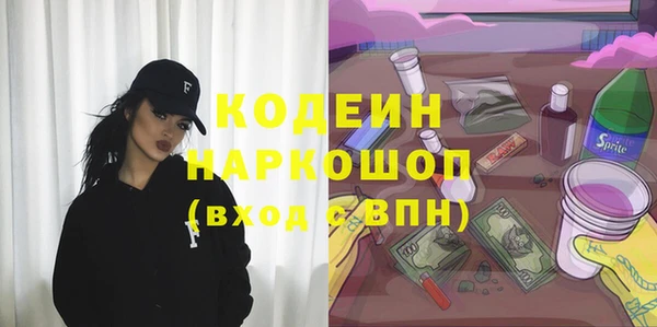 индика Алексин