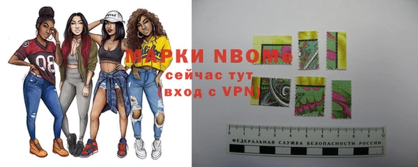 индика Алексин