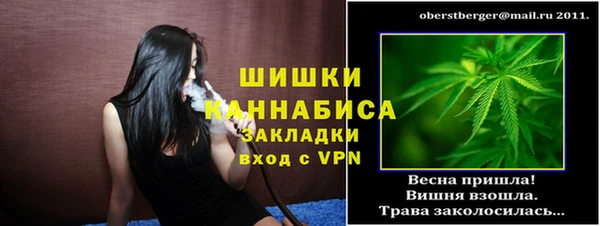 индика Пролетарск