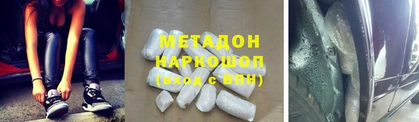 индика Алексин