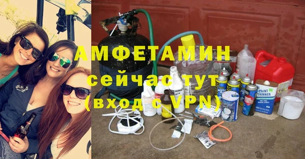 индика Алексин