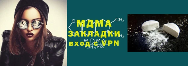 индика Алексин
