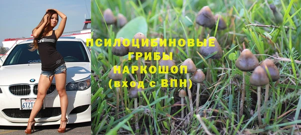 круглые Алзамай
