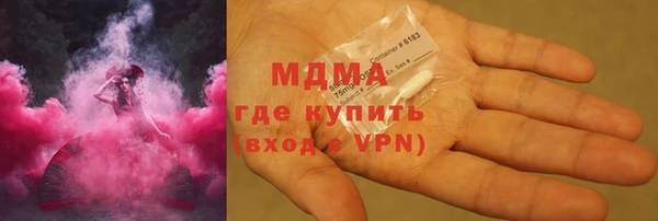 индика Алексин