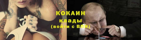 индика Алексин