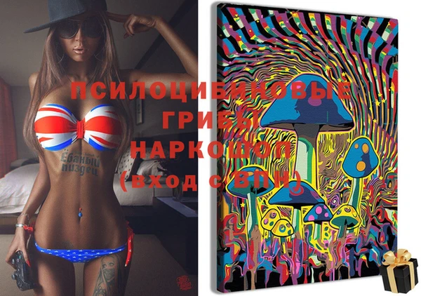 круглые Алзамай