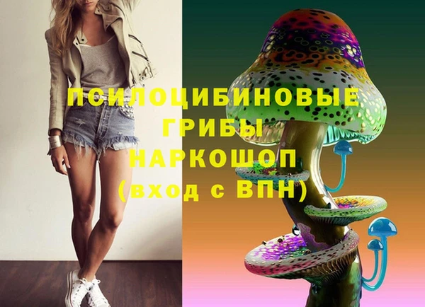 меф Приозерск
