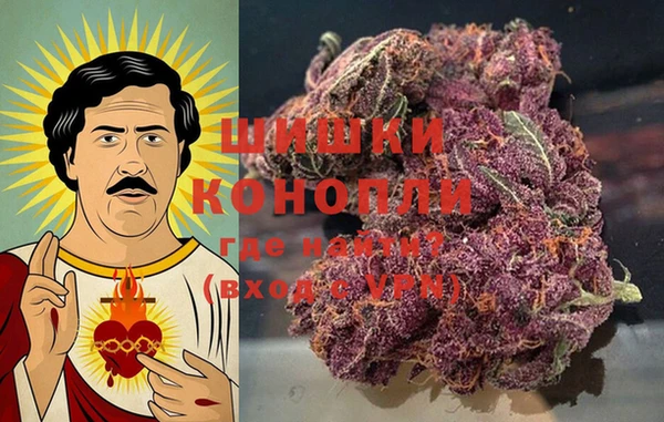 индика Алексин