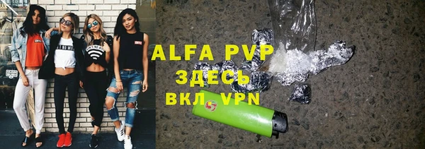 индика Алексин