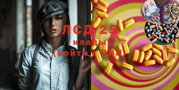индика Алексин