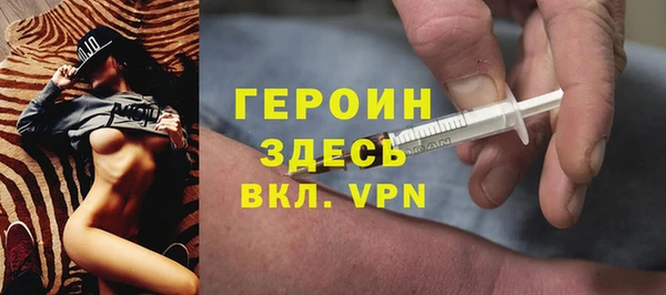 индика Алексин