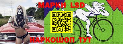 прущие грибы Будённовск