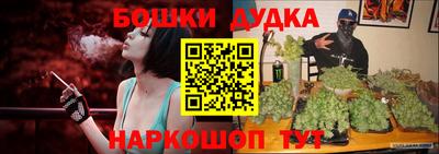прущие грибы Будённовск