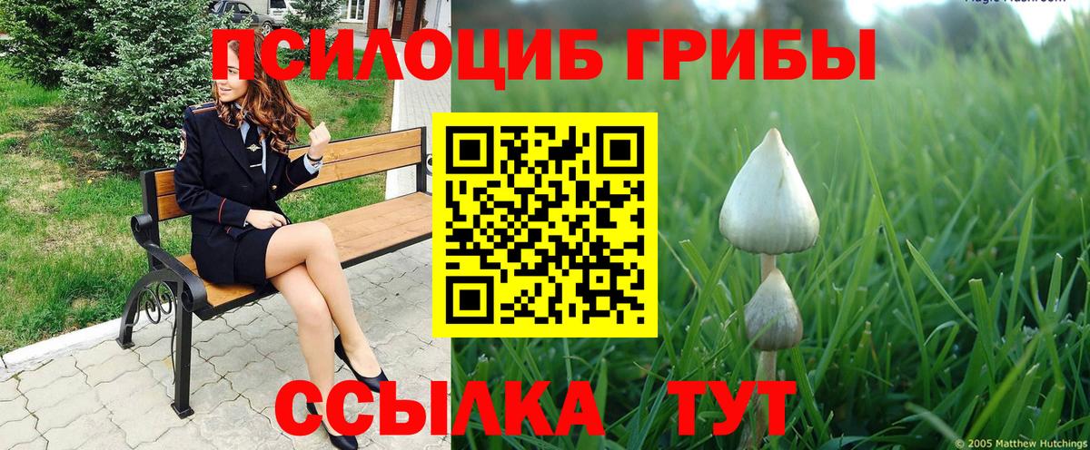 Родники  Псилоцибиновые грибы ЛСД  Вход с VPN 